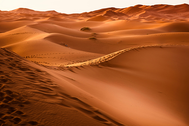Analysis of the Application of Sand and Dust Test Chambers in the Military Industry 